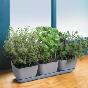 Trio Planter