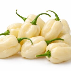 Piment Habanero Blanc / White Habanero Pepper