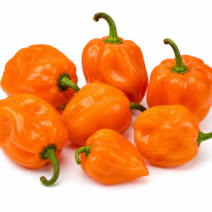 Paprika Habanero Orange / Orange Habanero Pepper