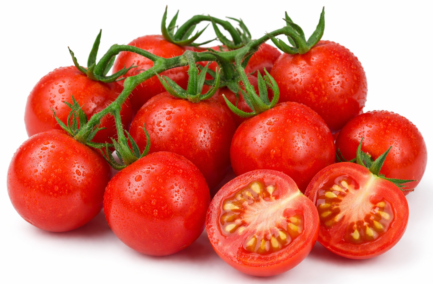 Tomate Farthest North - Farthest North Cherry Tomato