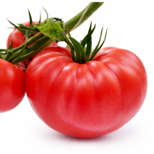 Tomate Brandywine - Brandywine Tomato