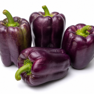 Poivron Violet - Purple Bell Pepper
