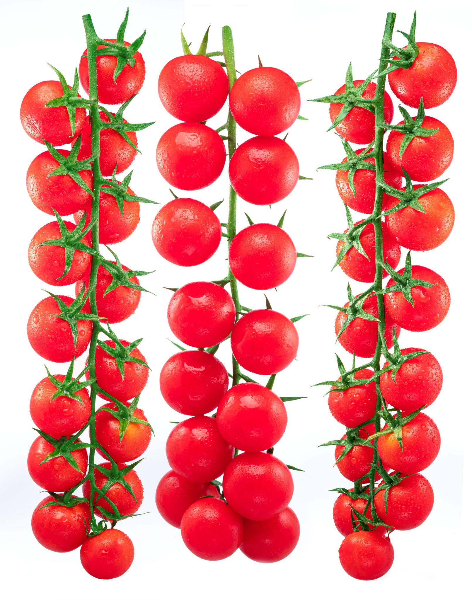 Tomates Cerises Red Perle - Red Perle Cherry Tomatoes