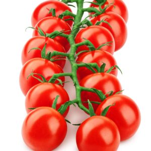 Tomates Naines Red Robin - Red Robin Dwarf Tomatoes