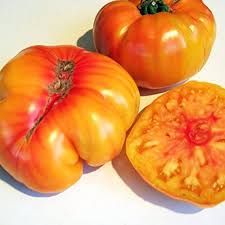 Tomate Old German Heirloom - Old German Tomato Heirloom