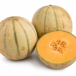 Melon Amish - Amish Melon