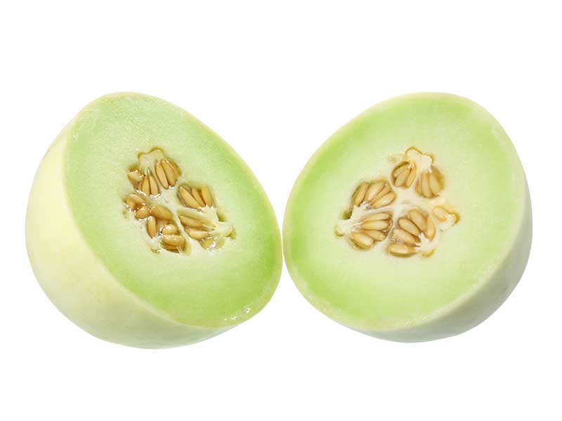 Melon Miel à Chair Verte - Green Flesh Honeydew Melon